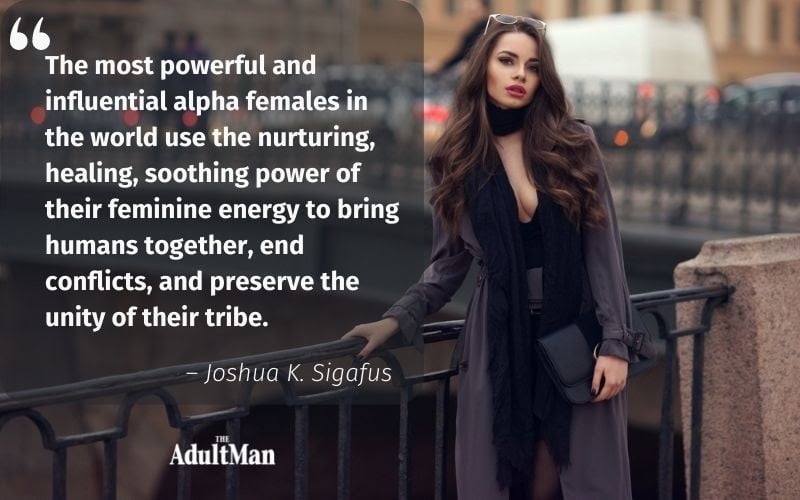 Joshua Sigafus Quote