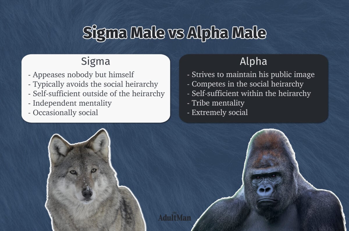 Sigma Male vs Alpha Male TAM custom image 1