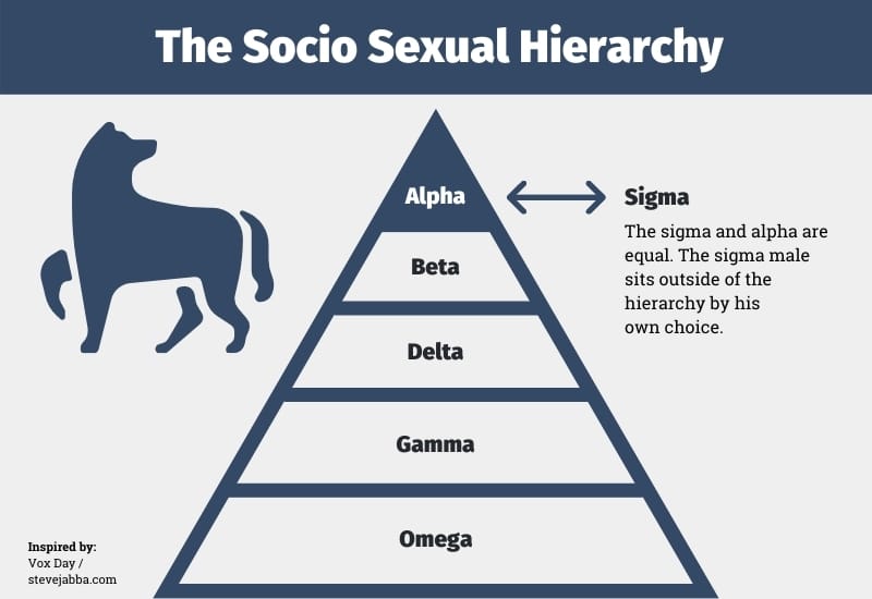 The Socio Sexual Hierarchy